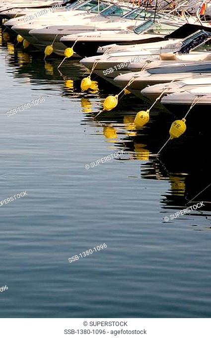 Boats moored at a marina, Puerto Banus, Marbella, Costa Del Sol, Andalusia, Spain