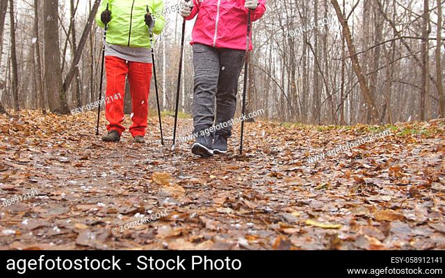 Nordic walking in autumn park - two elderly senior ladies have training outdoor - legs close up view