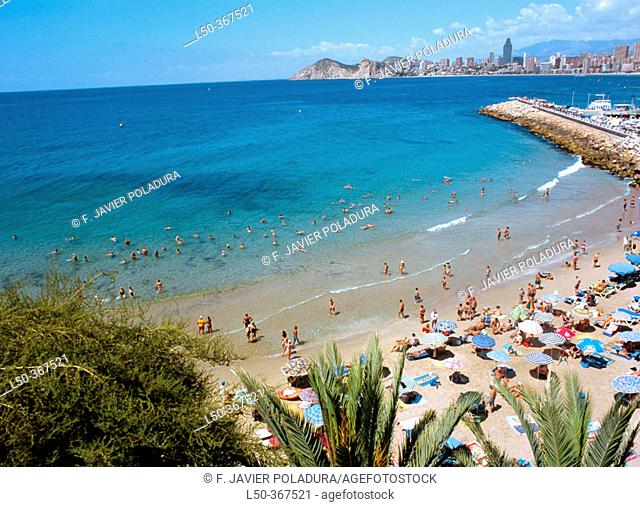 Playa de Poniente, beach. Benidorm. Alicante province, Spain