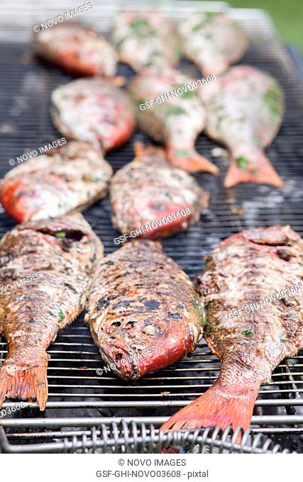 Large Fish on Outdoor Grill