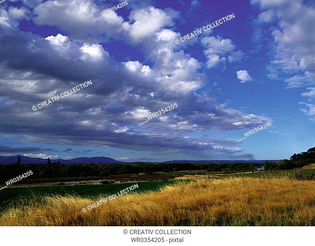 cirrus clouds on the countryside