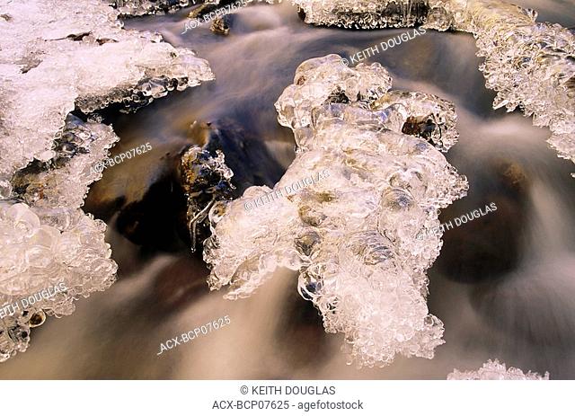 Ice formations on rocks, Canyon Creek, Bulkley Valley, British Columbia, Canada