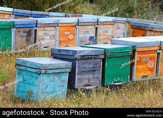 Hives. Alburquerque. Badajoz province. Extremadura. Spain