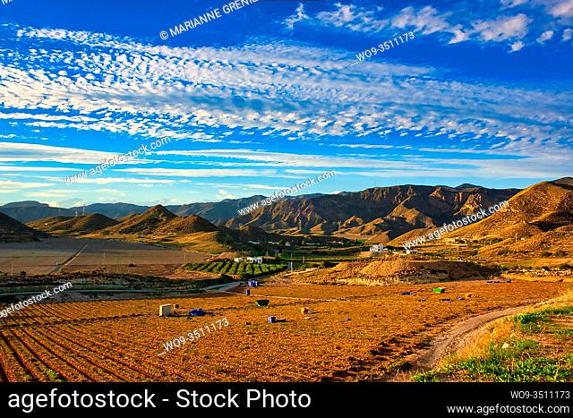 Traditional open air rural field in a semi-arid environment in the province of Almeria, Spain