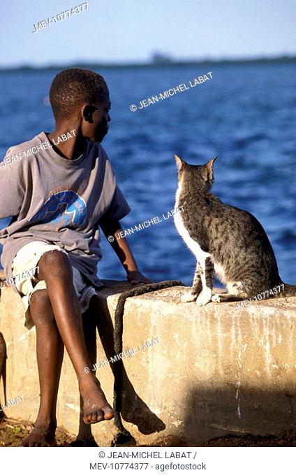Cat - on the Island of Lamu