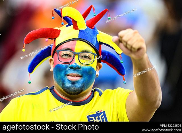 Illustration picture shows fans during a soccer game between Qatar and Ecuador, the opening match of the 2022 FIFA World Cup soccer in Al Khor