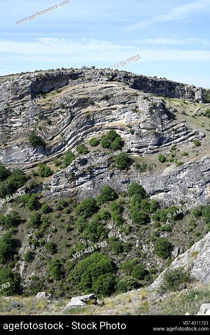 Anticline fold in limestone strata. Cañon del Rio Dulce, Guadalajara, Castilla-La Mancha, Spain