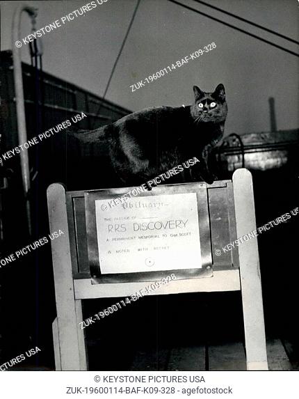 1968 - 'Beeps' The Cat Who Refuse To 'Abandon Ship': The R.R.S. Discovery, the famous sailing ship which took Capt. Scott to the Arctic lies at her mornings on...
