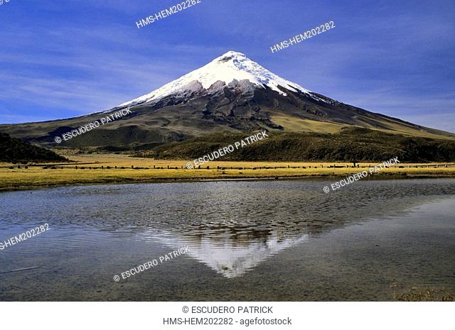 Ecuador, Cotopaxi province, Cotopaxi National Park, Cotopaxi volcano and its reflect