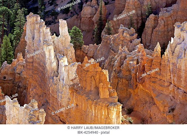 View of coloured rock formations, fairy chimneys, morning light, Bryce Canyon National Park, Utah, USA