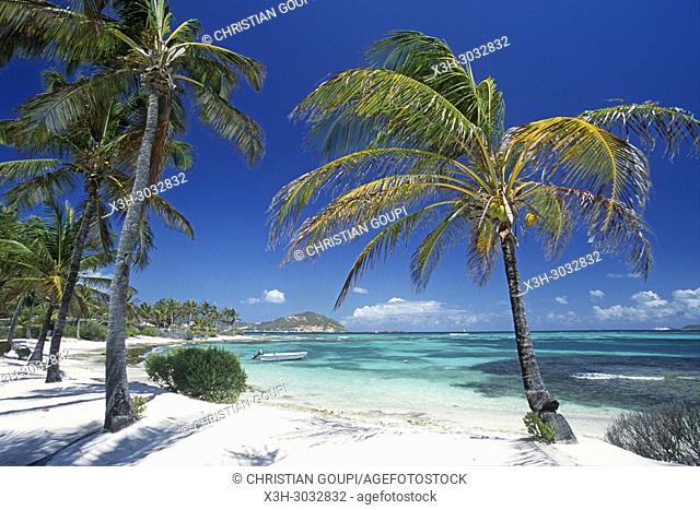 Jamesby islet, Tobago Cays, Grenadines islands, Saint Vincent and the Grenadines, Winward Islands, Lesser Antilles, Caribbean Sea