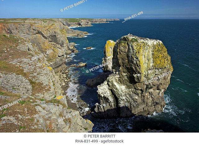 Stack Rocks, Pembrokeshire Coast National Park, Wales, United Kingdom, Europe