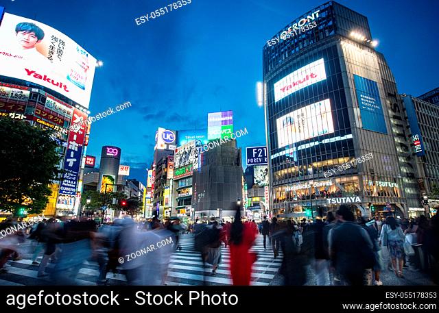 TOKYO, JAPAN - MAY 11, 2019 - Shibuya Crossing is one of the world's most used pedestrian crossings, in central Tokyo, Japan