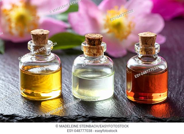 Three bottles of essential oil with fresh dog rose flowers on a dark background