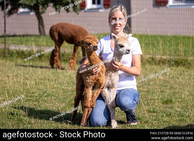 28 July 2021, Bavaria, Gerbersdorf: The young alpaca twins Alice (l) and Amy stand next to breeder Anne Weeger at the Frankenland Alpaca grazing livestock farm