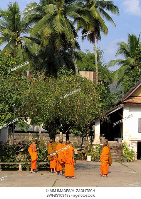 buddhistic monks in Luang Prabang, Laos