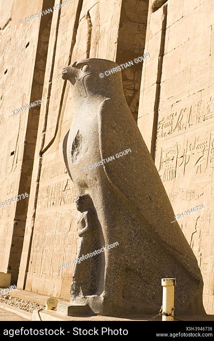Statue of Horus beside of the first pylon, Temple of Edfu, Egypt, Northern Africa
