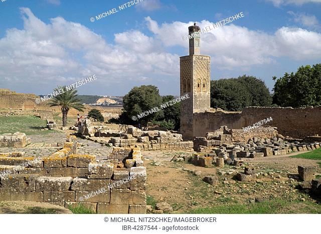 Ruins and minaret of the former Islamic school Zaouia, necropolis of Chellah, Rabat, Rabat province, Morocco
