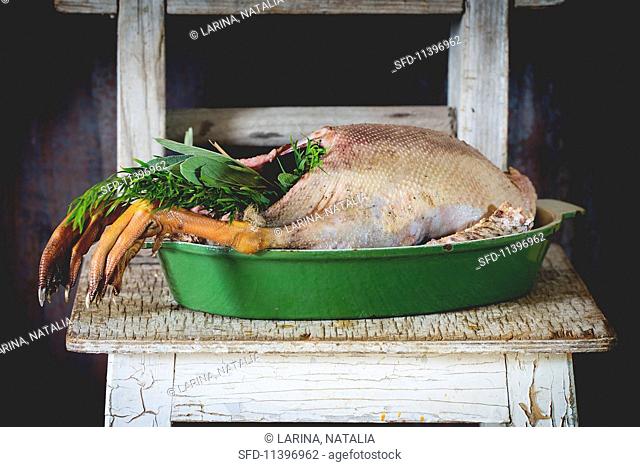 A ready-to-roast goose with a herb stuffing in a green roasting dish on a rustic wooden table