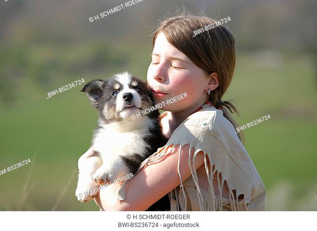 domestic dog Canis lupus f. familiaris, girl caressing the mixed breed of a Husky and an Australian-Shepherd on her arms