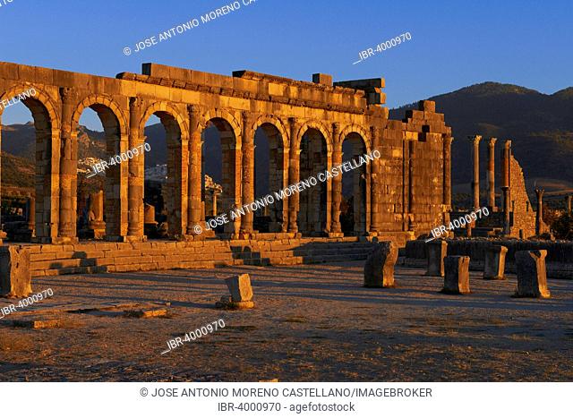 Roman ruins of Volubilis, UNESCO World Heritage Site, evening light, Mulay Idris, Meknes, Morocco