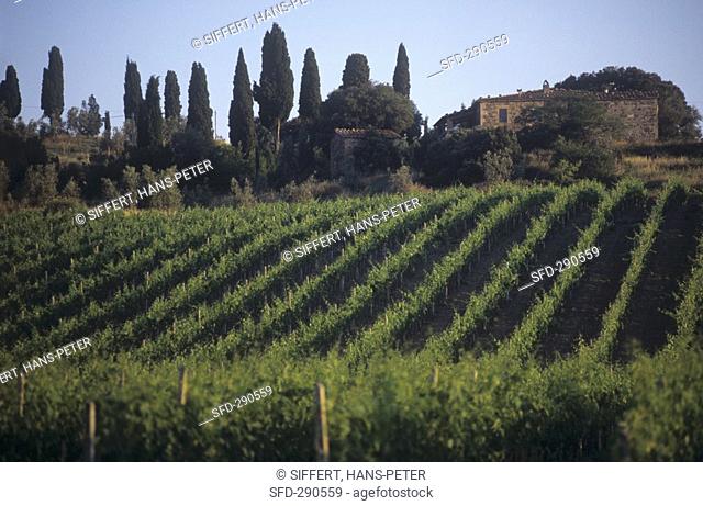 The famous wine town of Montalcino, Tuscany, Italy Not available in CH