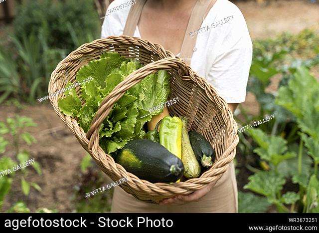 Close-up of young woman holding wicker basket with vegetables in yard