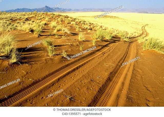Namibia - Sandy track at the edge of the southern Namib Desert inside the NamibRand Nature Reserve