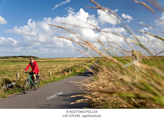 Woman cycling, bird reserve Godelniederung, near Witsum, Foehr island, Schleswig-Holstein, Germany