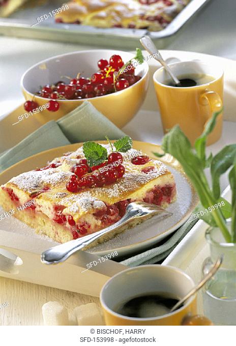 A piece of tray-baked redcurrant cake on a plate