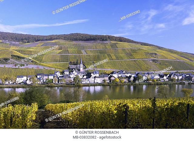 Germany, Rhineland-Palatinate, Mosalee, Zell-Merl, skyline, autumn,   Mosalee valley, wine place, houses, residences, church, river, sight, destination, tourism
