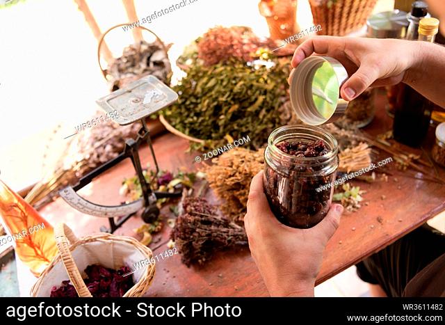 herbalist gardender small business owner picking gathering fresh herbs for alternative medicine tea and poutting on balance