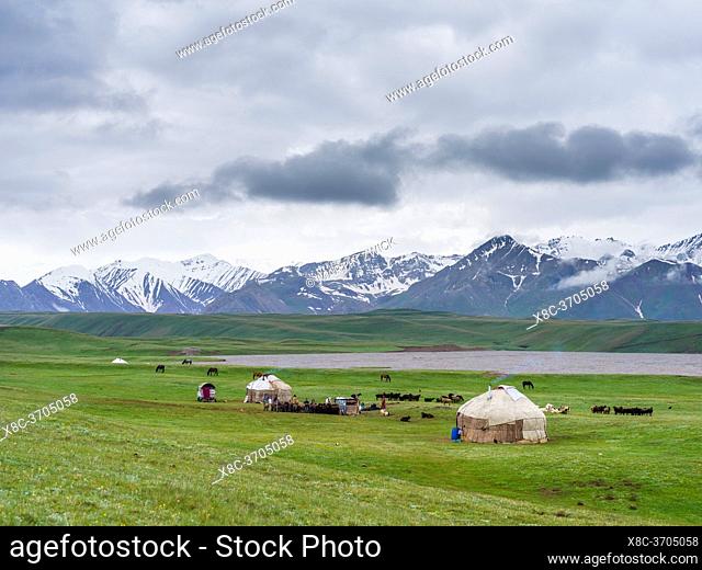 Traditional yurt the Transalai mountains in the background. Alaj valley in the Pamir Mountains, Asia, Central Asia, Kyrgyzstan