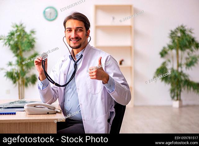 Young doctor working in the clinic