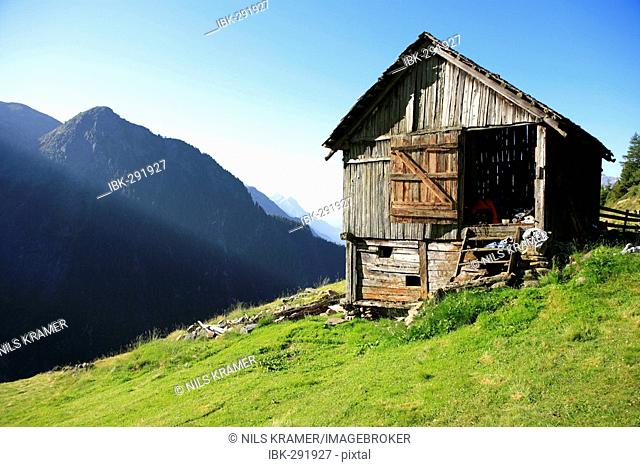 Wooden hut on a meadow in the early morning, Oetztal, Tyrol, Austria
