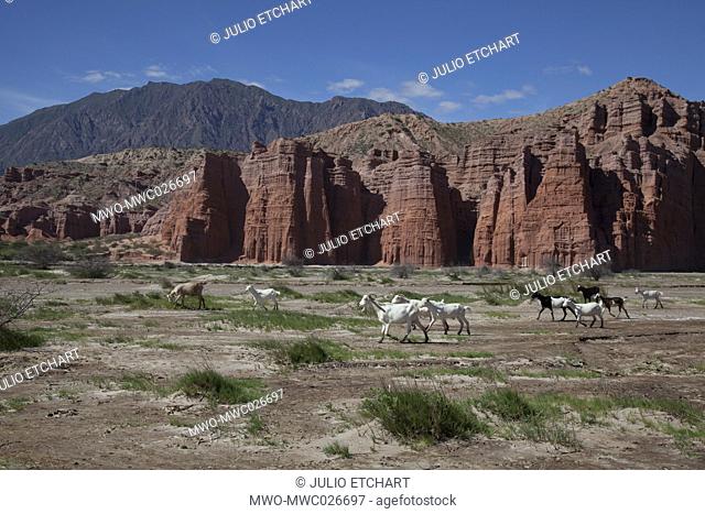 Rock formations in the foothills of Andes in Cafayate region, Salta, Argentina
