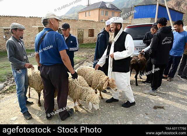 RUSSIA, KYRGYZSTAN - JUNE 28, 2023: Muslim men with Qurbani sheep are seen in Lenin Street in the town of Naryn during Eid al-Adha (or Kurban Bairam