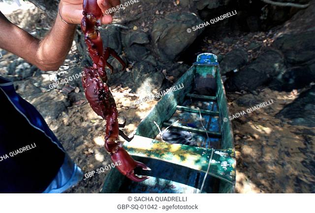 Man holding crab, Ilha Grande, RJ