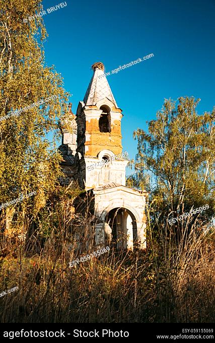 Martinovo, Beshenkovichsky District, Vitebsk Region, Belarus. Old Ruins Of Church Of The Intercession Of The Most Holy Theotokos