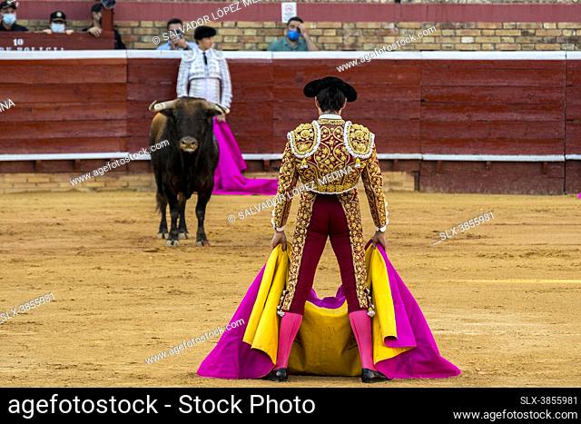 La Plaza de Toros de la Merced (Huelva) acogió el martes 3 de agosto una Corrida de Toros en la que se lidiaban las reses de Juan Pedro Domecq por los toreros...