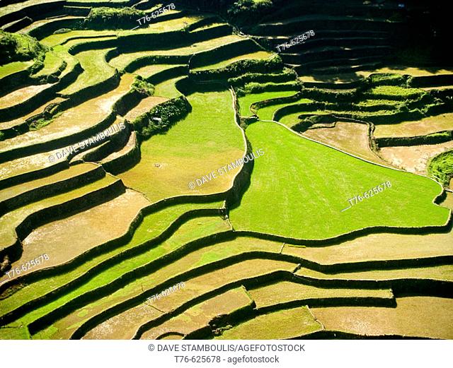 northern Philippines amazing rice terraces, near Banaue, Luzon