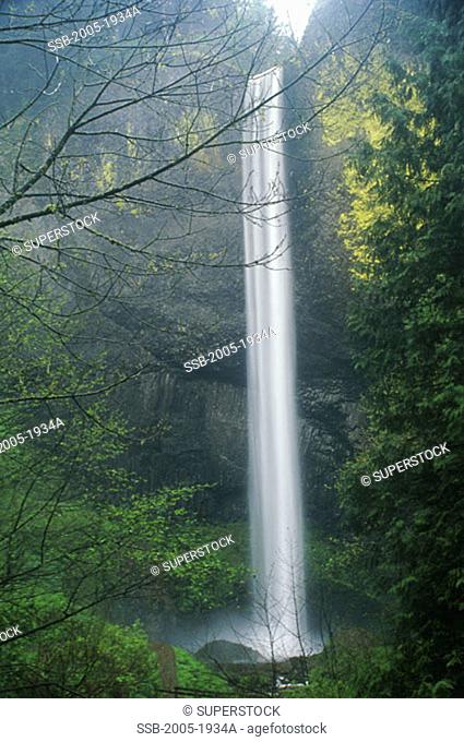 Low angle view of a waterfall, Latourell Falls, Columbia River Gorge National Scenic Area, Oregon, USA