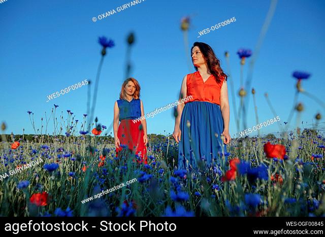 Beautiful women standing in poppy field against clear blue sky
