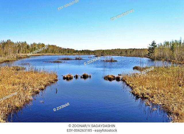 Peat lake in spring time