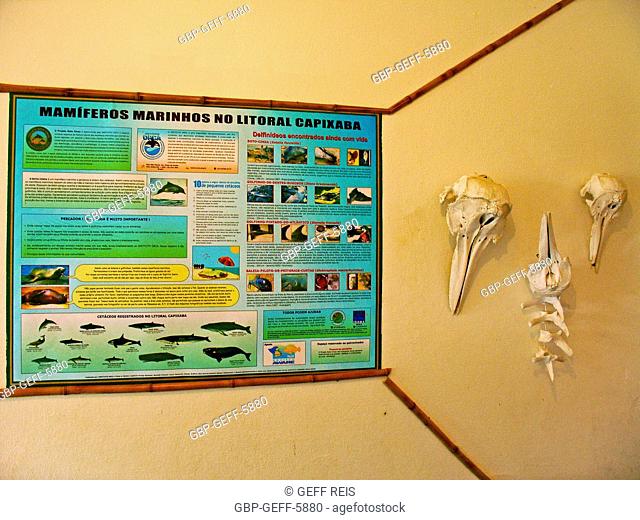 Museum, Marine Mammal, Protective Base, Sea Turtles, Comboios Biological Reserve Espírirto Santo, Brazil