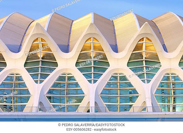Facade of the Museum of Science, City of Arts and Sciences, Valencia, Spain. It was designed by Valencian architect Santiago Calatrava