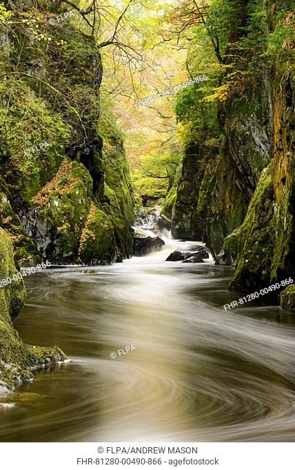 View of river flowing through gorge, Fairy Glen, River Conwy, Betws-y-Coed, Snowdonia N.P., Conwy, Wales, November