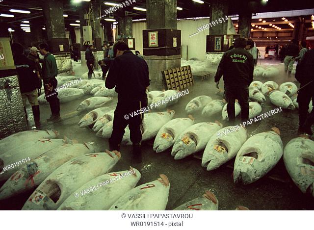 People at Tuna auction at world's largest fish market, Tsukiji Fish market, Tokyo, Japan