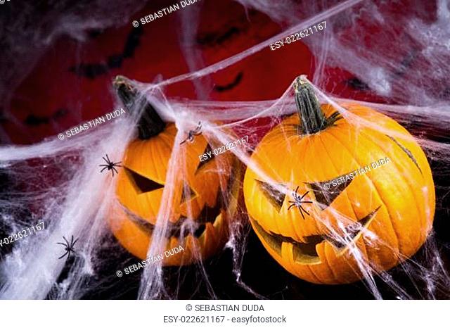 Spider web, Halloween pumpkin Jack
