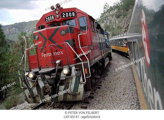 Two trains standing next to eah other, Ferrocarril Chihuahua al Pacifico, Chihuahua express, Mexico, America